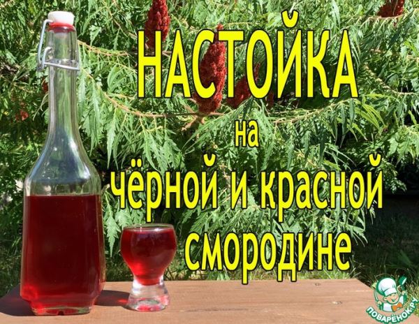 Настойка на чёрной и красной смородине